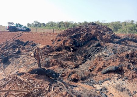 Arrendatário e autuado em mais de R$ 75.000.00 por queimada irregular, arma de fogo ilegal e contaminação do solo