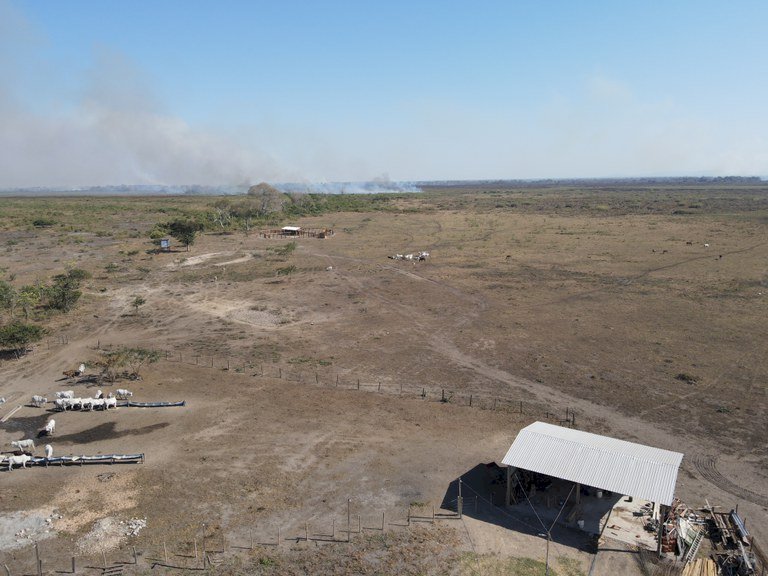 PF investiga incêndios criminosos na região do Pantanal