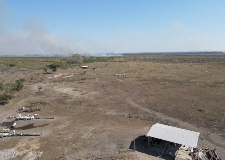 PF investiga incêndios criminosos na região do Pantanal