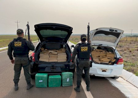 Carga milionária de maconha é apreendida pelo DOF