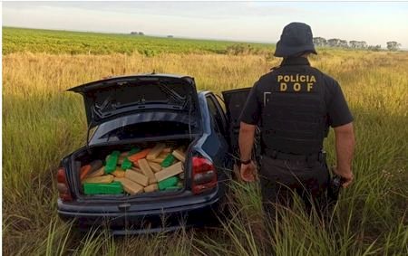 DOF apreende mais de 200 Kg de Maconha