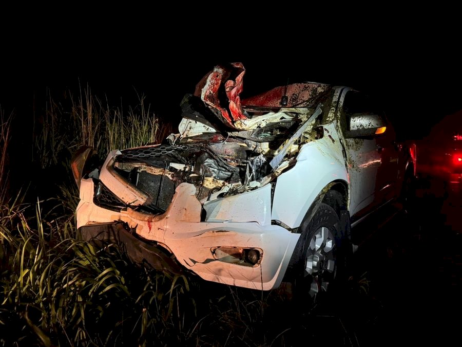 Caminhonete colide em animal na pista na MS-276, região de Batayporã