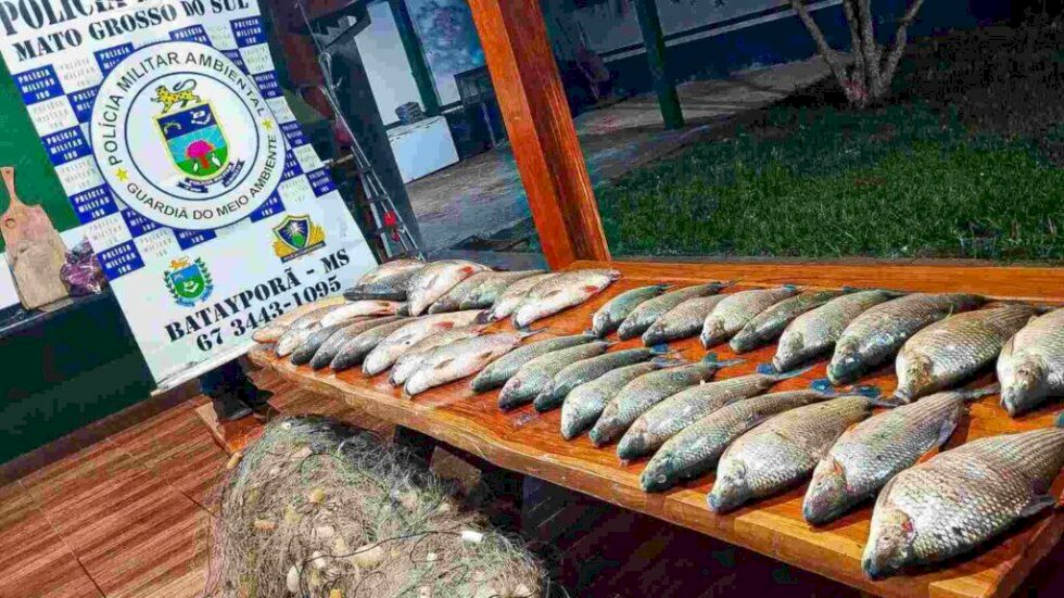 Nova Andradina - Trio é multado em mais de R$ 14 mil pela PMA após pesca ilegal