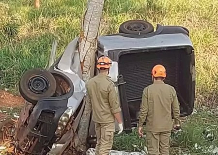 Motorista morre ao perder controle em curva e picape 'abraçar' árvore