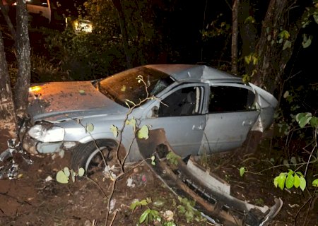 Motorista perde o controle da direção, cai em ribanceira após colidir em animais silvestres na BR-060
