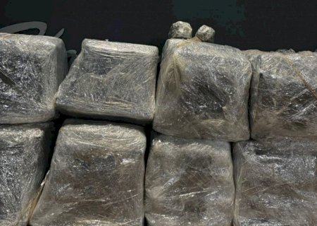 Polícia Civil apreende aproximadamente 180 kg de maconha e prende três mulheres por tráfico de drogas