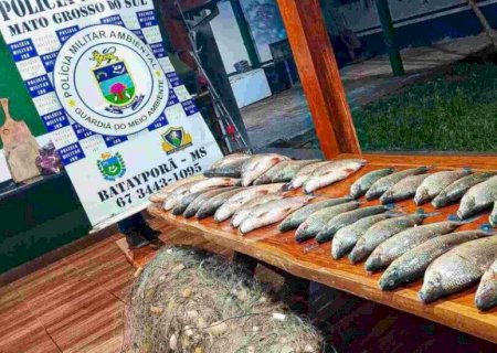 Nova Andradina - Trio é multado em mais de R$ 14 mil pela PMA após pesca ilegal