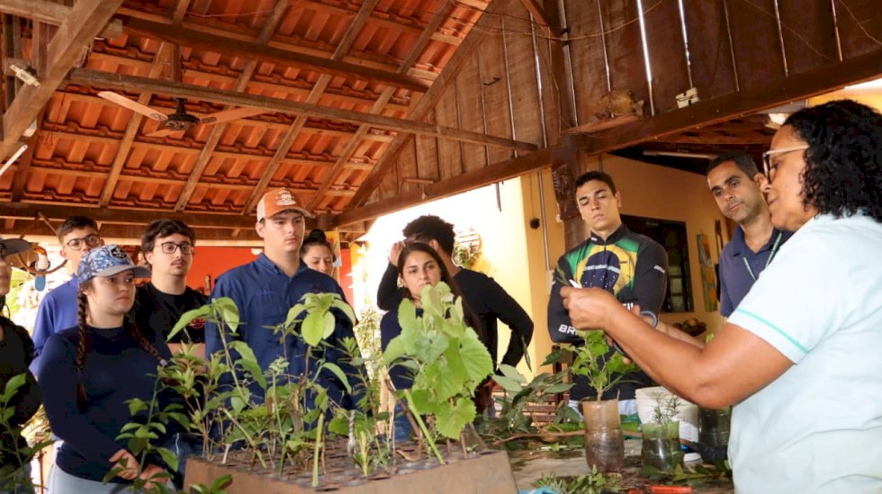 Ivinhema - Agraer e Instituto Federal de Naviraí realizam aula prática de enxertia