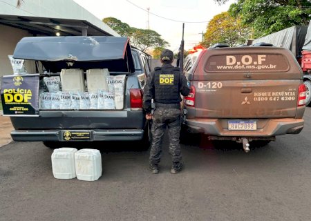 Mais de uma tonelada de defensivo agrícola contrabandeado é apreendida pelo DOF