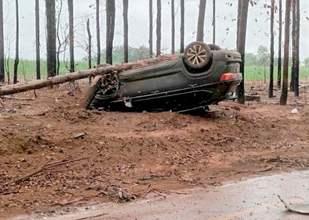 Carro sai da pista, derruba árvore e capota em estrada vicinal