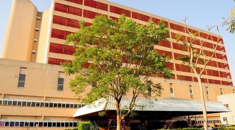 Menino leva mais de mil picadas de abelha e fica em estado grave em hospital de MS