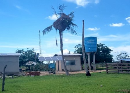 Polícia Civil, Marinha, PMA e forças parceiras realizam operação de resgate de filhotes de periquitos no Pantanal