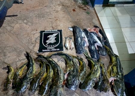 Polícia Militar Ambiental flagra 5 pessoas praticando pesca predatória e apreende 116 kg de pescado