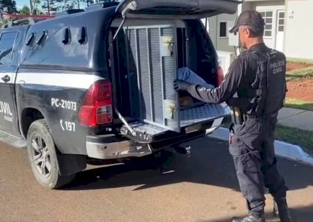 'Grupo de extermínio' suspeito de executar mais de 20 pessoas e gravar mortes no Paraná é alvo de operação policial em 17 cidades de 5 estados