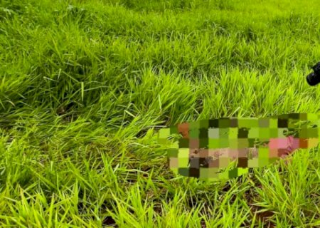 Corpo é encontrado em avançado estado de decomposição