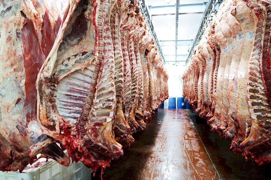 Brasil negocia abertura de mercado da Turquia à carne bovina