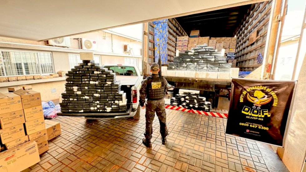 Mais de 260 quilos de cloridrato de cocaína foram apreendidos pelo DOF