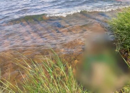 Anaurilândia- Homem morre afogado em balneário