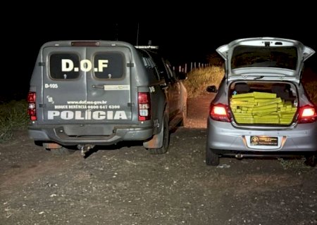 DOF apreende mais de 350 quilos de drogas que seguiam para São Paulo