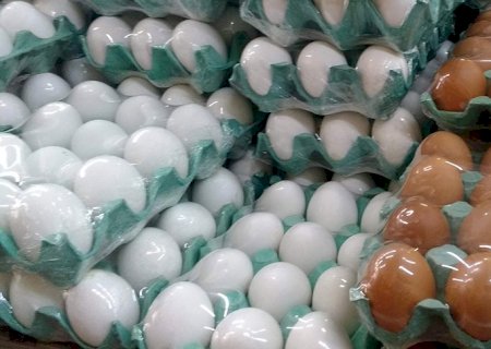 JBS entra no mercado de ovos com aquisição de 50% da Mantiqueira