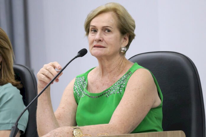 Professora Denir solicita patrolamento em avenida