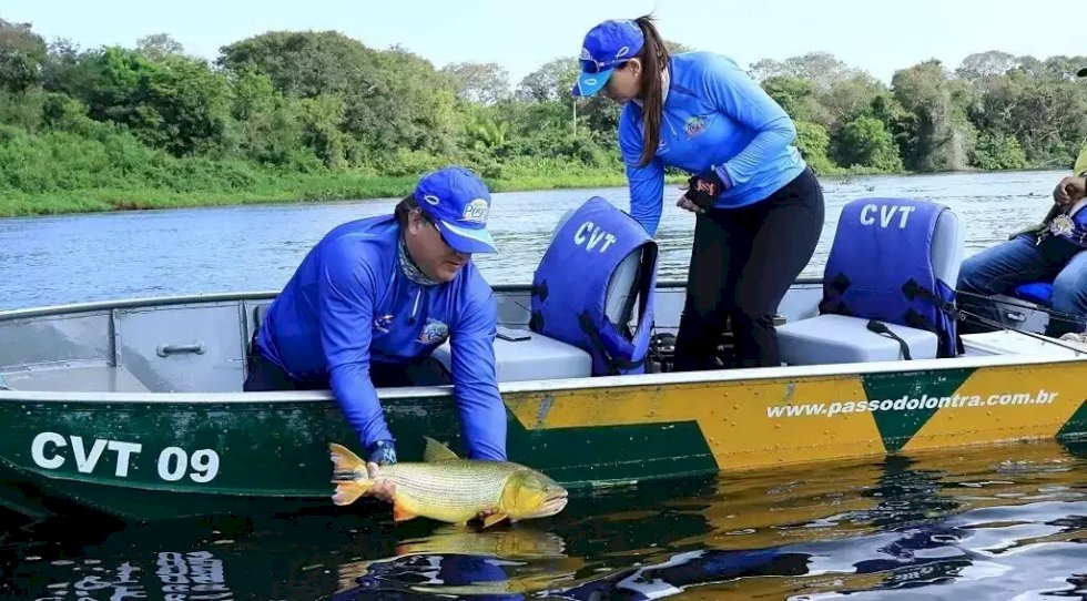 Projeto prorroga por mais dois anos proibição da pesca do Dourado em MS