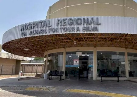 Trabalhador morre após levar centenas de picadas de abelha