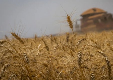 Conab estima safra recorde de 325,7 milhões de toneladas