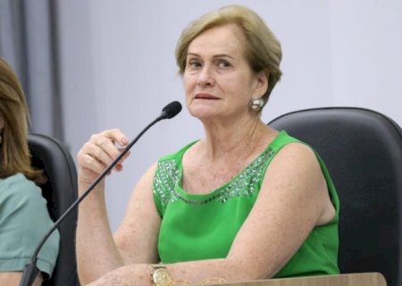 Professora Denir solicita patrolamento em avenida
