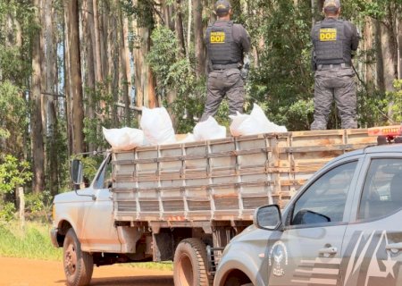 Mais de três toneladas de defensivo agrícola ilegal são apreendidas pelo DOF