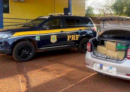 PRF apreende 378 Kg de maconha