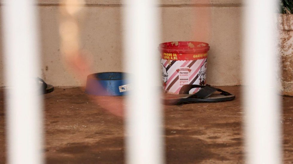 Desaparecido há dois dias, motorista de aplicativo é encontrado morto
