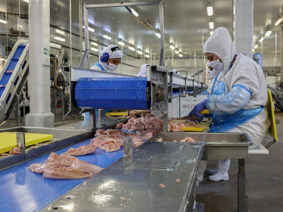 Brasil e Japão fecham acordo que garante exportação de frango