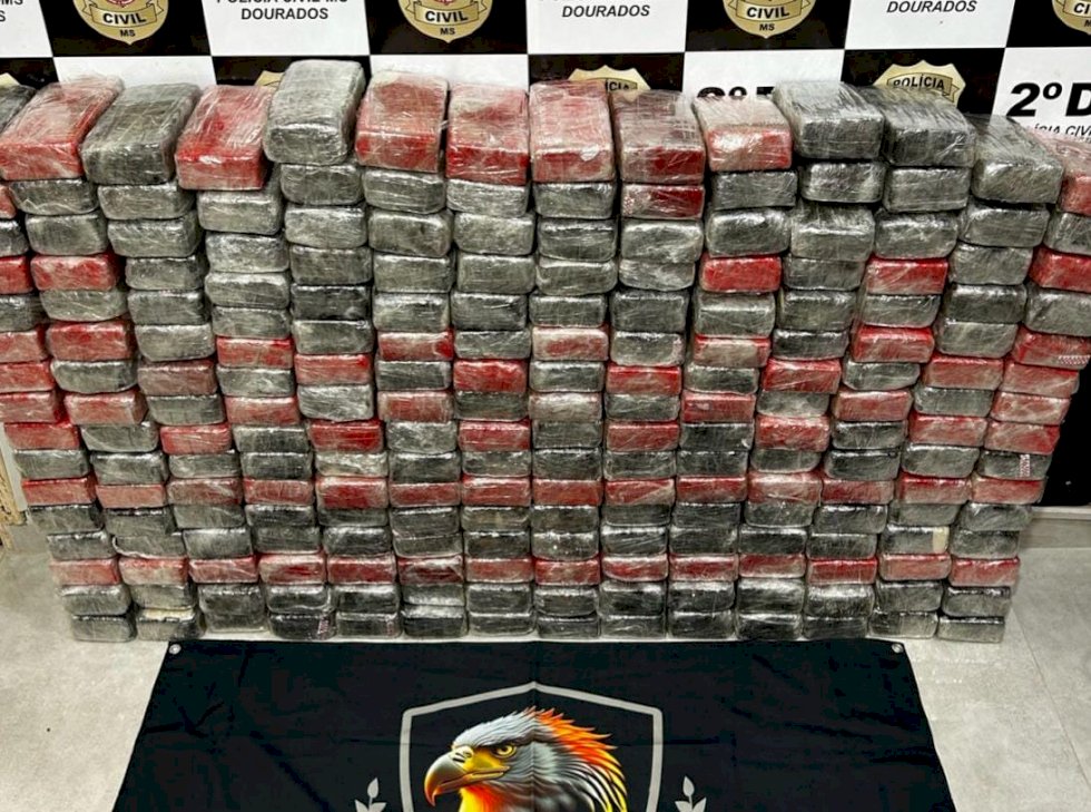 Polícia Civil apreende 222 tabletes de cocaína avaliados em aproximadamente 15 milhões