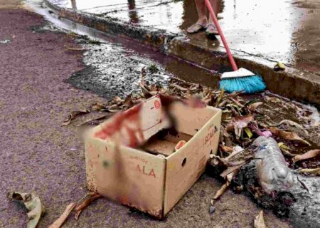Morador em situação de rua morre após ser espancado com golpes de pá e faca