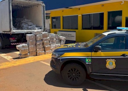PRF apreende droga dentro de carregamento de carne
