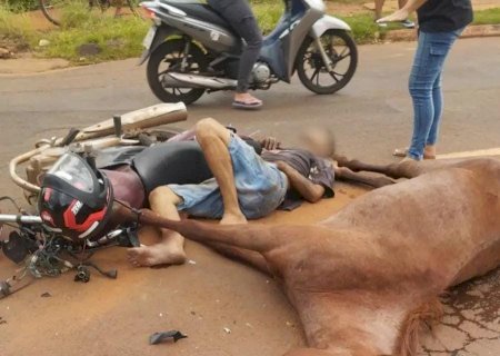 Motociclista bate em cavalo solto e quebra a perna