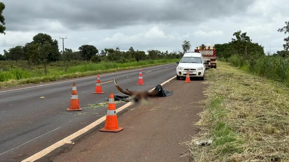 Criança morre em acidente entre carro e caminhão prancha na BR-267 próximo a Nova Alvorada do Sul