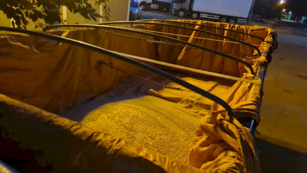 Grupo acusado de furtar 500 quilos de ração é preso pela Guarda Municipal