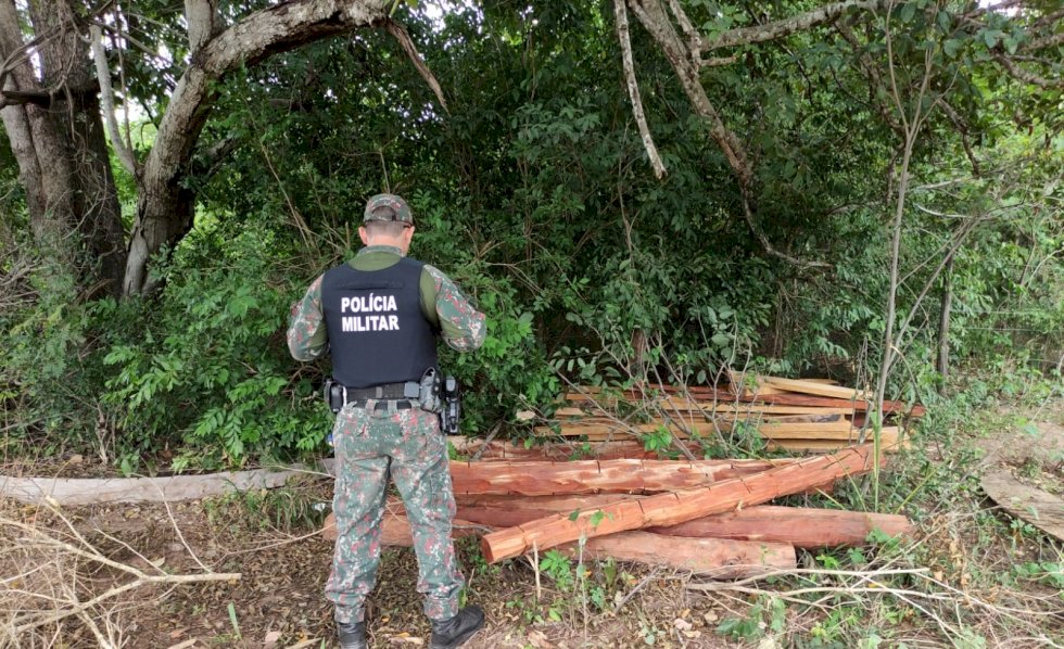 PMA de Bela Vista flagra exploração ilegal de madeira em área de reserva legal de assentamento.