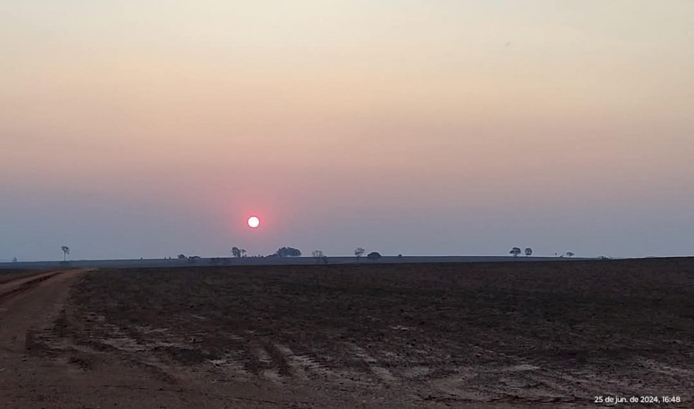 Agronegócio bate recorde com 28 milhões de pessoas atuando no setor em 2024