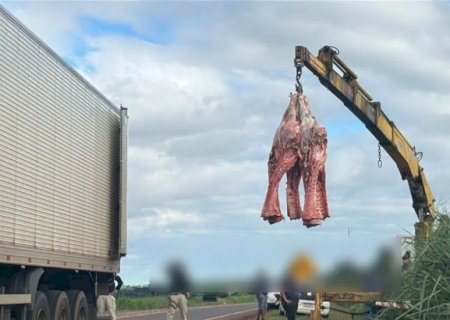 Caminhão com carga de carne tomba na BR-163 e carga é resgatada