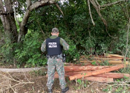 PMA de Bela Vista flagra exploração ilegal de madeira em área de reserva legal de assentamento.