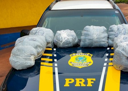 PRF apreende 83 Kg de cabelo humano