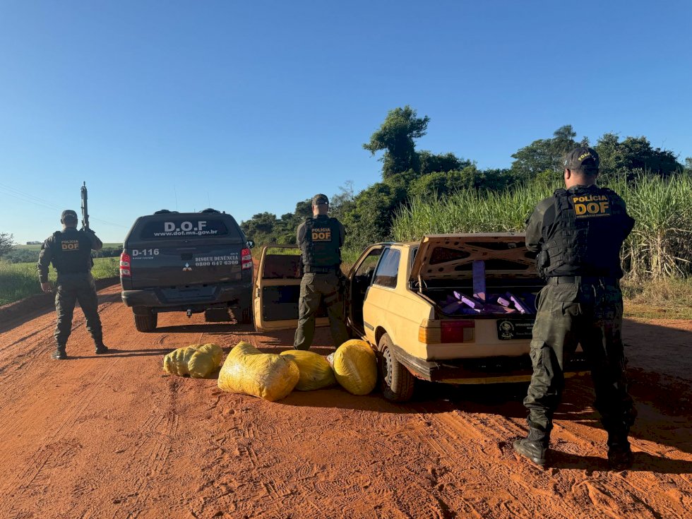 DOF apreende 350 quilos de drogas
