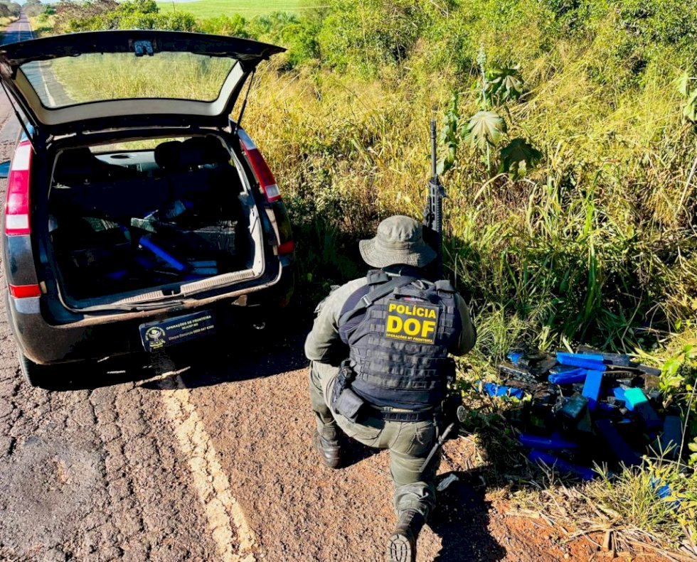 Ivinhema - DOF apreende mais de 200 quilos de droga em meio a mata