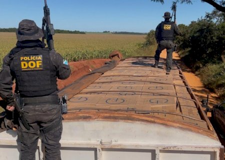 DOF apreende mais de 42 mil pacotes de cigarros contrabandeados em carreta