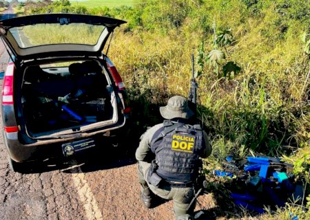 Ivinhema - DOF apreende mais de 200 quilos de droga em meio a mata