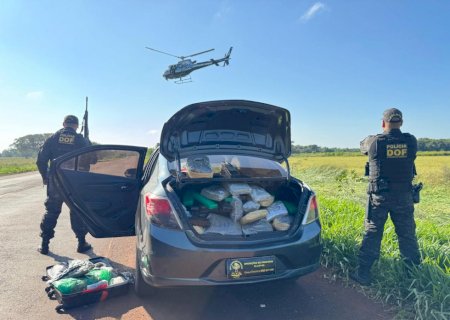 Operação conjunta entre DOF e Denarc do Paraná resulta na apreensão de mais de 300 quilos de drogas