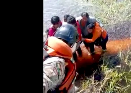 Cinco pessoas sobrevivem após queda de avião em pântano com jacarés